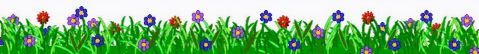 Blumenwiese